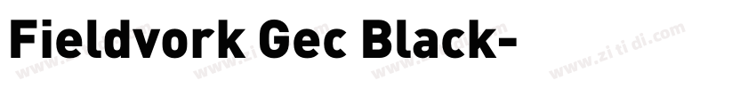 Fieldvork Gec Black字体转换